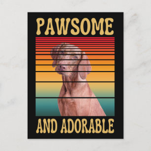 CARTE POSTALE PAWSOMENT ET ADORABLE