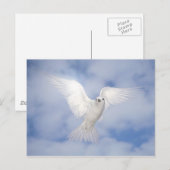 Carte Postale Pax (Devant / Derrière)