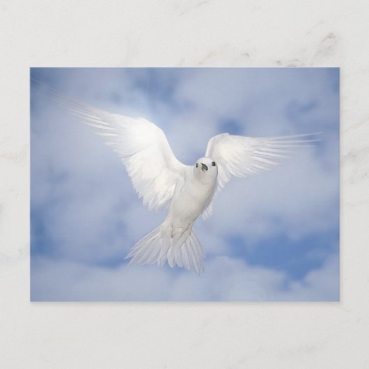 Carte Postale Pax (Devant)