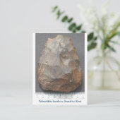 Carte Postale Pax paléolithique (Debout devant)