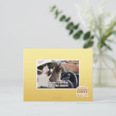 Carte Postale Pays chauve (Debout devant)