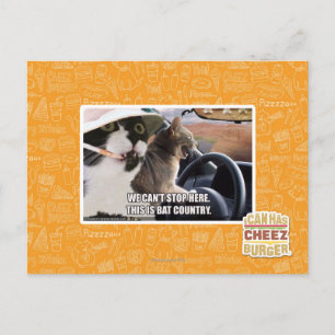 Carte Postale Pays chauve