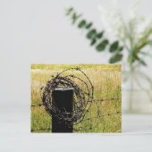 Carte Postale Pays de Barbwire (Debout devant)