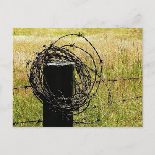 Carte Postale Pays de Barbwire