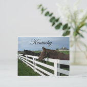 Carte Postale Pays du Kentucky Bluegrass (Debout devant)