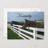 Carte Postale Pays du Kentucky Bluegrass (Devant / Derrière)