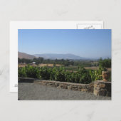 Carte Postale Pays du vin (Devant / Derrière)