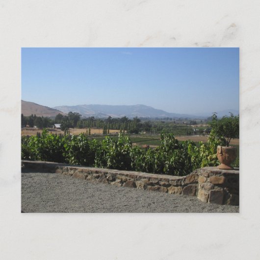 Carte Postale Pays du vin (Devant)