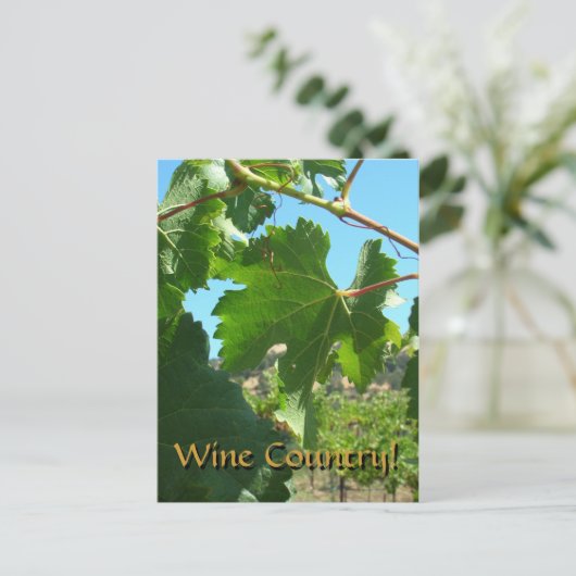 Carte postale - Pays du vin (Debout devant)