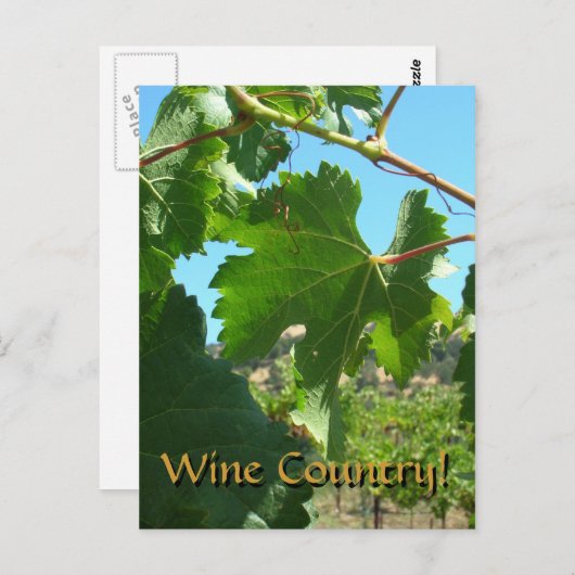 Carte postale - Pays du vin (Devant / Derrière)