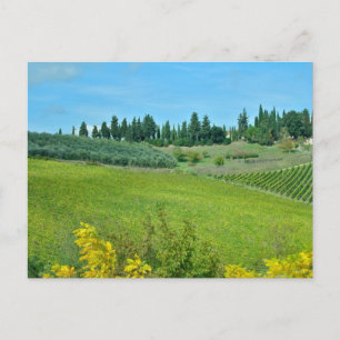 Carte Postale Pays du vin italien