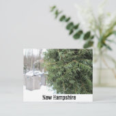 Carte Postale Pays NH Winter (Debout devant)