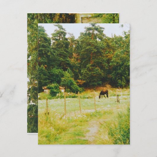 Carte Postale Pays suédois (Devant / Derrière)