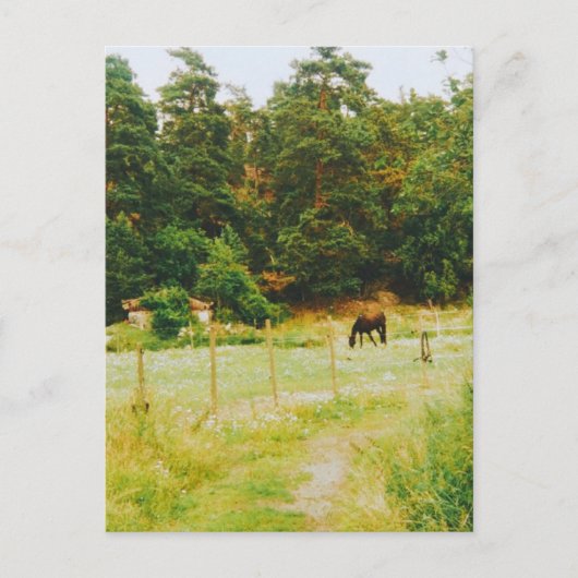 Carte Postale Pays suédois (Devant)