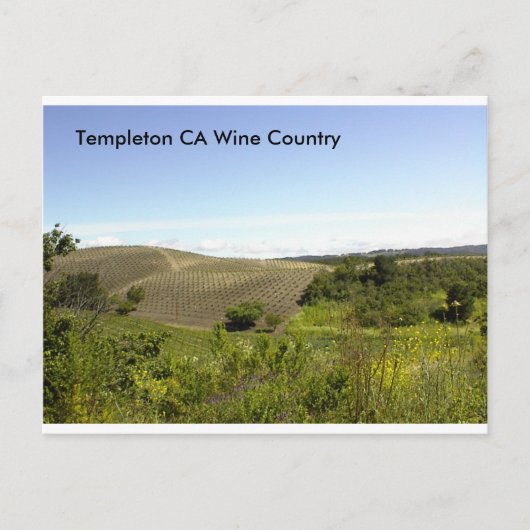 Carte Postale Pays vinicole de Templeton CA (Devant)