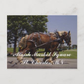 Carte Postale Paysage (Devant)