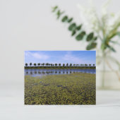 Carte Postale Paysage (Debout devant)