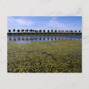 Carte Postale Paysage