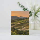 Carte Postale Paysage (Debout devant)
