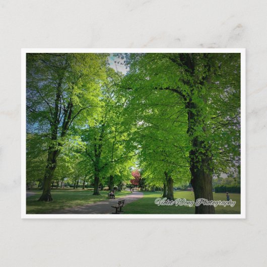 Carte postale Paysage 1 (Devant)