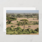 Carte Postale Paysage africain avec éléphant (Devant / Derrière)