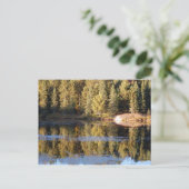 Carte postale Paysage Algonquin (Debout devant)