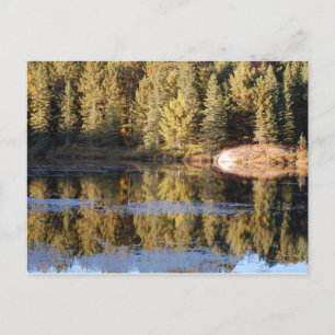 Carte postale Paysage Algonquin