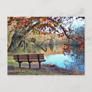 Carte Postale Paysage aquatique avec banc Photo