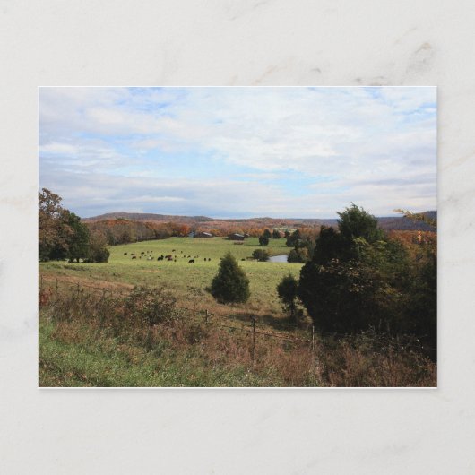 Carte postale Paysage Arkansas (Devant)