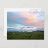 Carte Postale Paysage avec ciel bleu pêche et antilopes (Devant / Derrière)