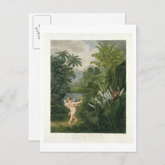 Carte Postale Paysage avec Cupid pointant une flèche vers un per (Devant / Derrière)
