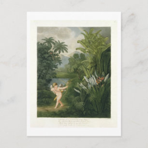 Carte Postale Paysage avec Cupid pointant une flèche vers un per