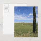 Carte Postale Paysage avec Cypress (Devant / Derrière)
