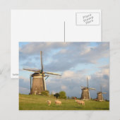 Carte Postale Paysage avec moulins à vent et moutons (Devant / Derrière)