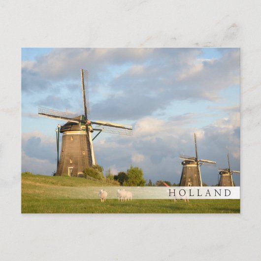 Carte Postale Paysage avec moulins à vent et moutons (Devant)