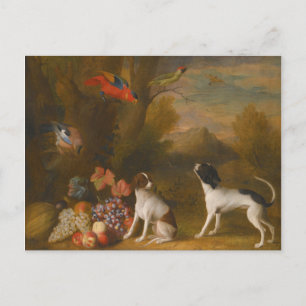 Carte Postale Paysage avec oiseaux exotiques et deux chiens