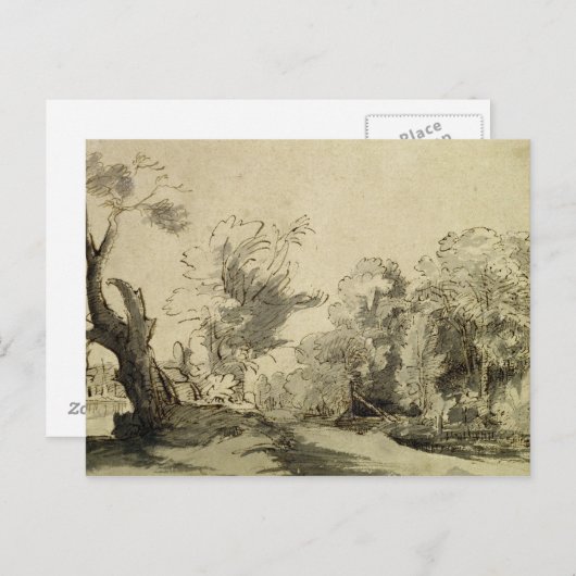 Carte Postale Paysage avec un sentier, arbre presque mort à gauc (Devant / Derrière)