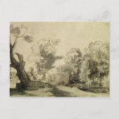 Carte Postale Paysage avec un sentier, arbre presque mort à gauc (Devant)