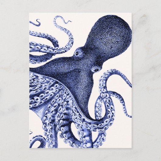 Carte Postale Paysage Bleu Octopus (Devant)