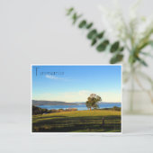 Carte Postale paysage boisé (Debout devant)