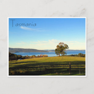 Carte Postale paysage boisé