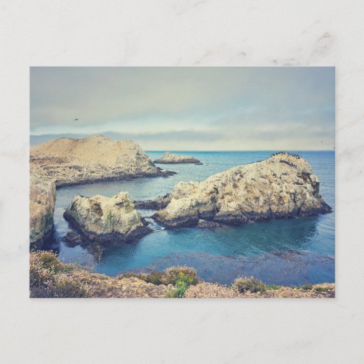 Carte Postale Paysage côtier de Point Lobos (Devant)