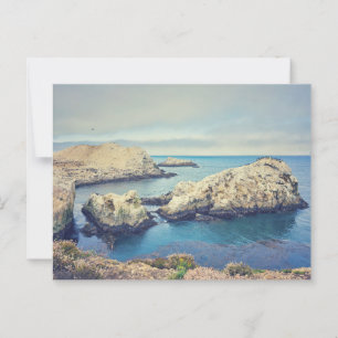 Carte Postale Paysage côtier de Point Lobos