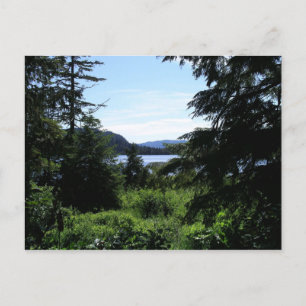 Carte Postale Paysage d'Alaska Photographie de la belle Alaska