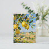 Carte Postale Paysage d'arbre à citrons de Toscane (Debout devant)