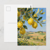 Carte Postale Paysage d'arbre à citrons de Toscane (Devant / Derrière)