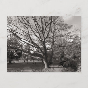 Carte Postale Paysage d'automne Bute Park Cardiff