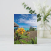 Carte Postale Paysage de bora bora (Debout devant)