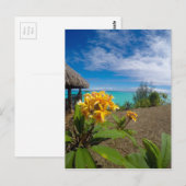 Carte Postale Paysage de bora bora (Devant / Derrière)