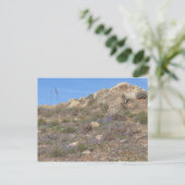 Carte postale Paysage de Chypre (Debout devant)